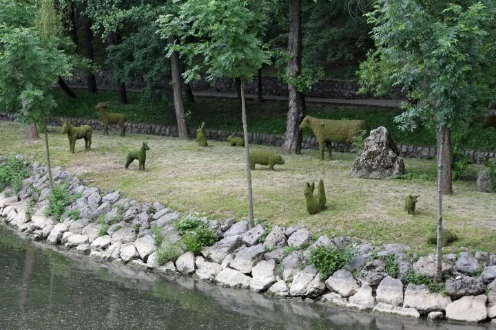 [Linked Image]