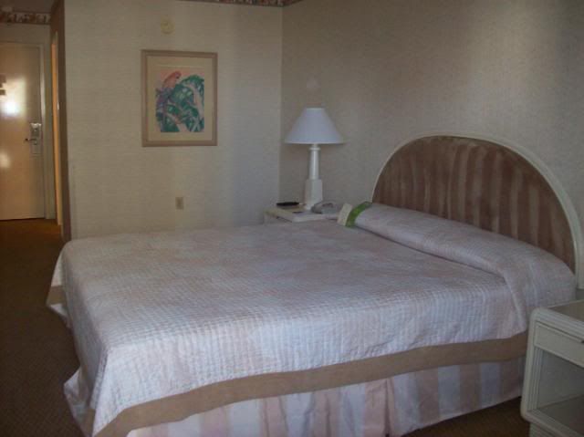 100_0426.jpg