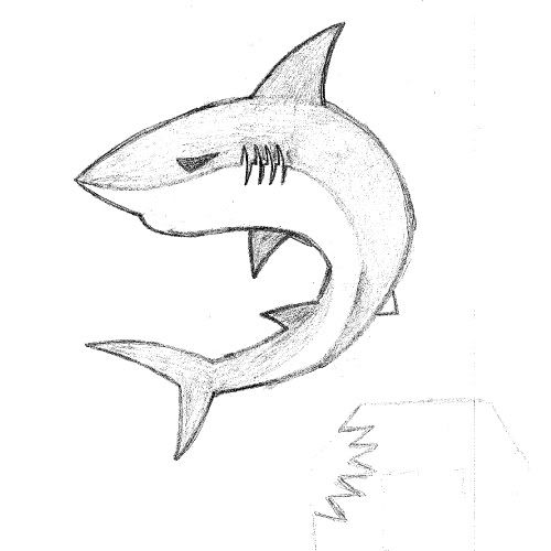 Shark_sketch.jpg