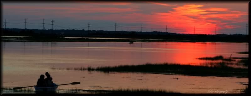 IMAGE: http://i21.photobucket.com/albums/b284/YellowMSP/IMG_1555.jpg