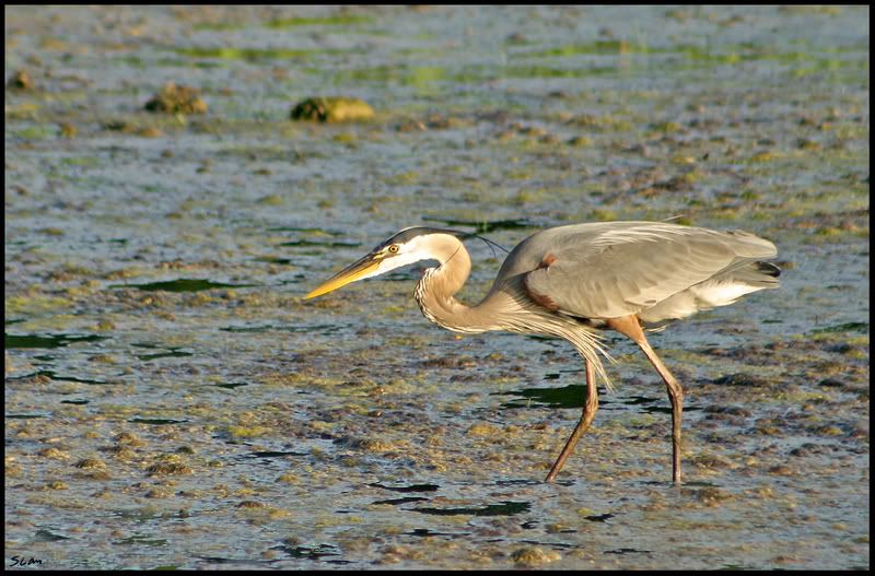 IMAGE: http://i21.photobucket.com/albums/b284/YellowMSP/IMG_8873.jpg