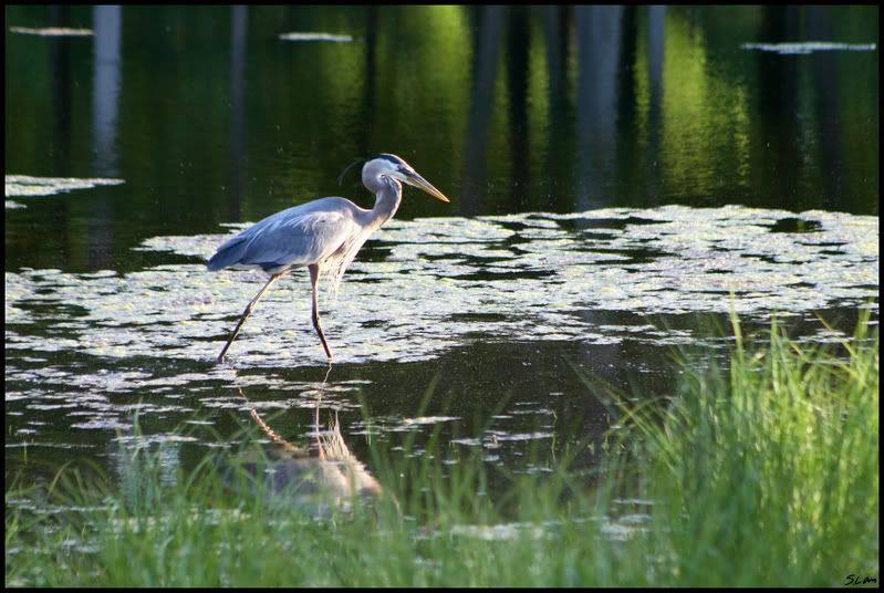 IMAGE: http://i21.photobucket.com/albums/b284/YellowMSP/IMG_8891.jpg