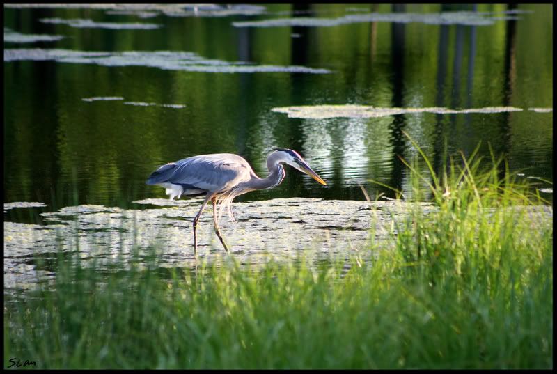 IMAGE: http://i21.photobucket.com/albums/b284/YellowMSP/IMG_8895.jpg