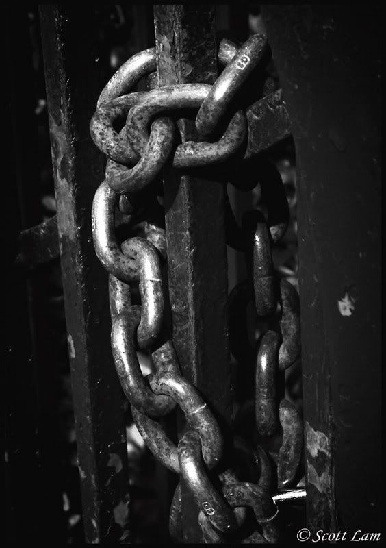 IMAGE: http://i21.photobucket.com/albums/b284/YellowMSP/stuff/IMG_5865.jpg