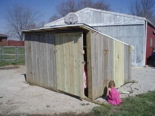 My husband is a goat enabler! - Goats