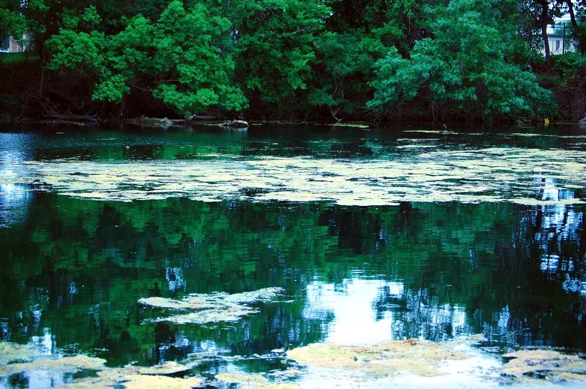 The San Marcos River