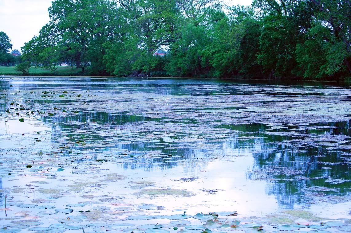 The San Marcos River