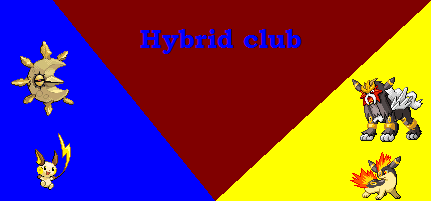 hybridclubbanner.png