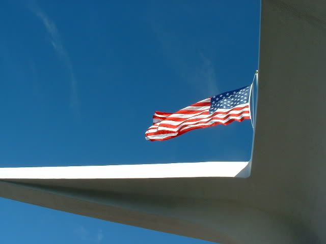 USSAMflag.jpg