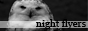 Night Flyers