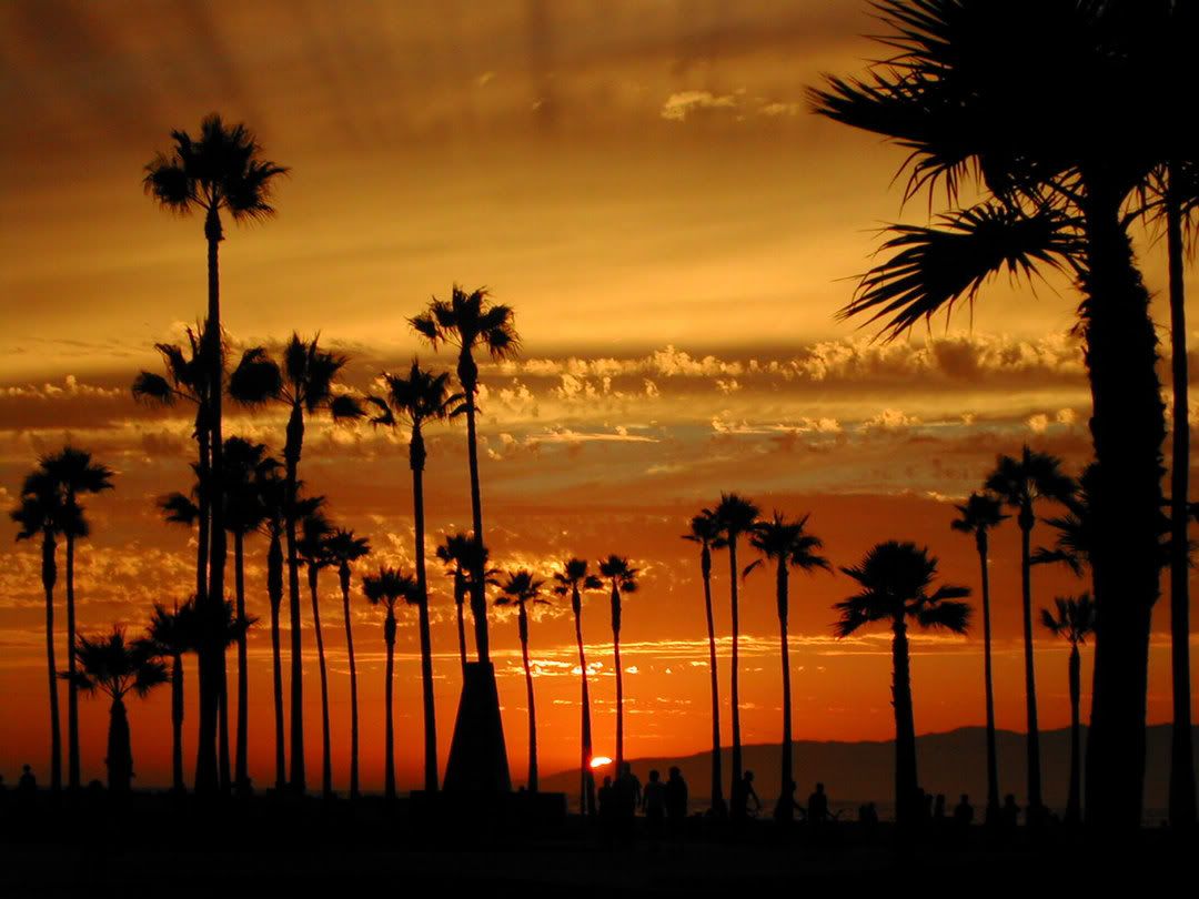 IMAGE: http://i21.photobucket.com/albums/b289/miajl09/ivan/DSCN0819.jpg