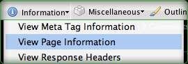webdev_info