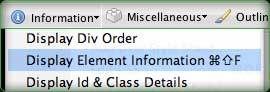 webdev_info2
