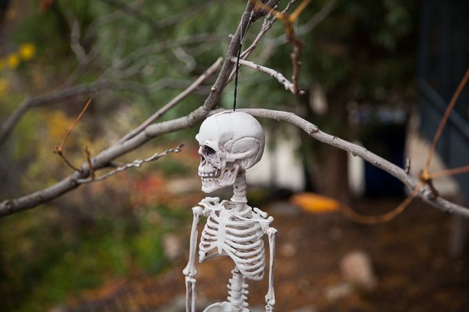 IMG_2983_01Nov14 photo IMG_2983_01Nov14_zps2cba9ce6.jpg