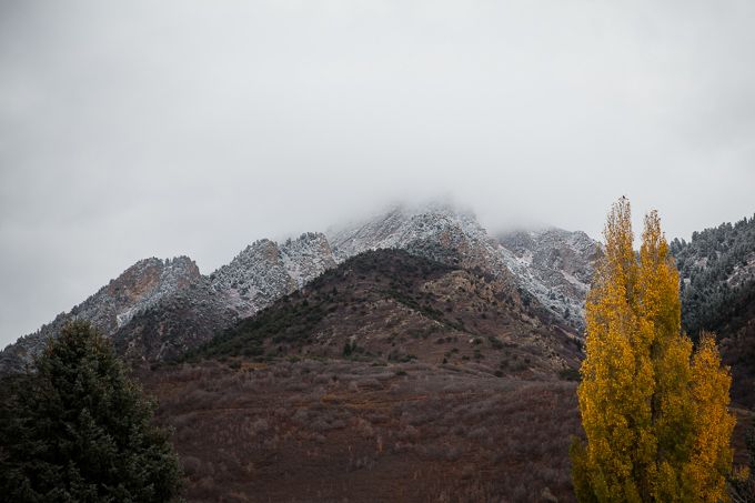 IMG_3317_02Nov14 photo IMG_3317_02Nov14_zps2f63f2dd.jpg