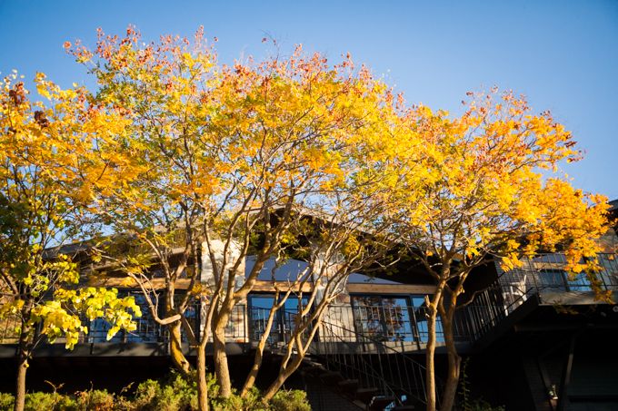  photo IMG_9826_20Oct14_zpsc53e1f55.jpg