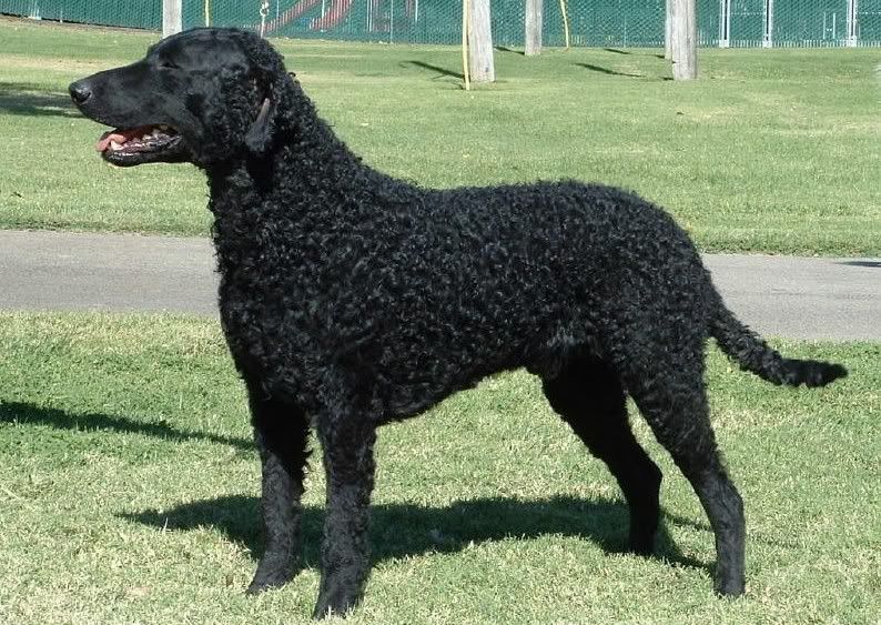 Image hosted by Photobucket.com