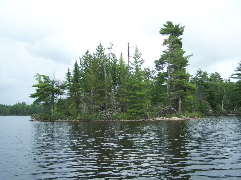 Island in Crab Lake2