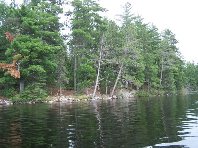 campsite from lake3