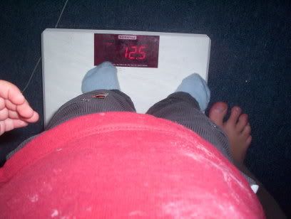 [img width=408 height=308]http://i21.photobucket.com/albums/b292/fairymama/Bas259.jpg[/img]