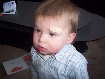 [img width=408 height=308]http://i21.photobucket.com/albums/b292/fairymama/Bas262.jpg[/img]