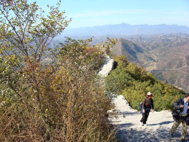 The great wall china:china-1110965