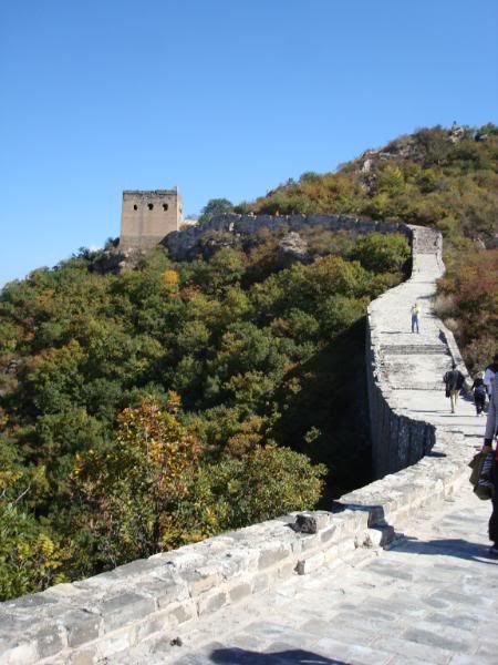 The great wall china:wall-1110963