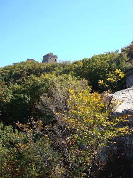 The great wall china:wall-1110952