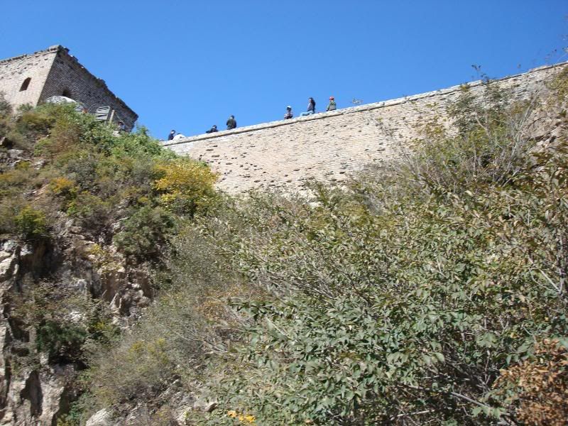 The great wall china:wall-1111020