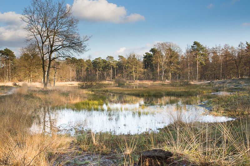Fotografie