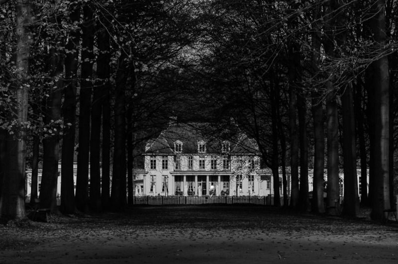 Fotografie