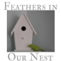 Feathers in Our Nest