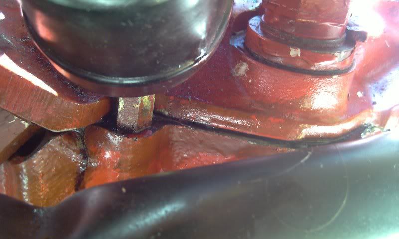 IMAG0021.jpg