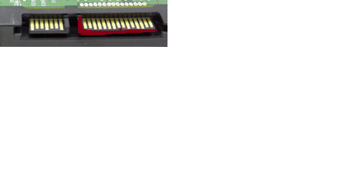 Untitled-1.png