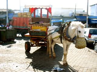 casablanca Morocco again