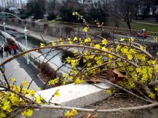 Vienna Photo Album
