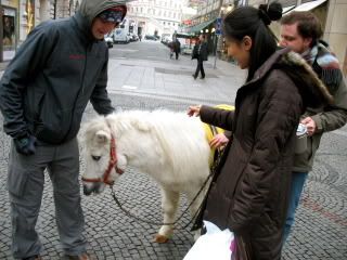 Vienna Photo Album