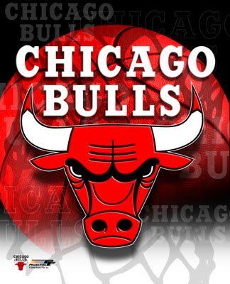  photo bulls.jpg