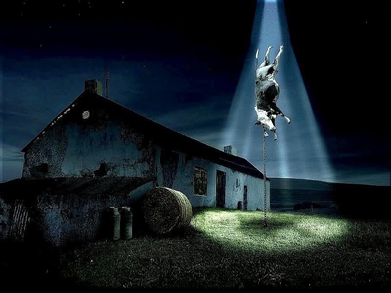 http://i21.photobucket.com/albums/b297/GHGecko/UFO_Foiled_Cow_Abduction_800x600.jpg