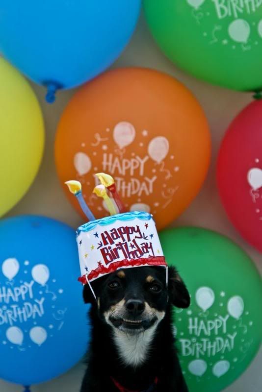 IMAGE: http://i21.photobucket.com/albums/b297/borne2shop/bbday.jpg