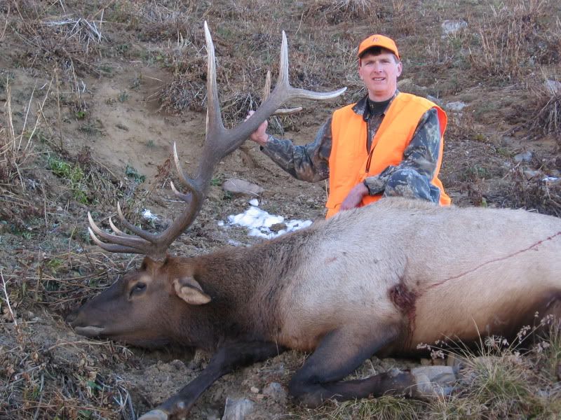 ColoradoElkHunt2011032.jpg