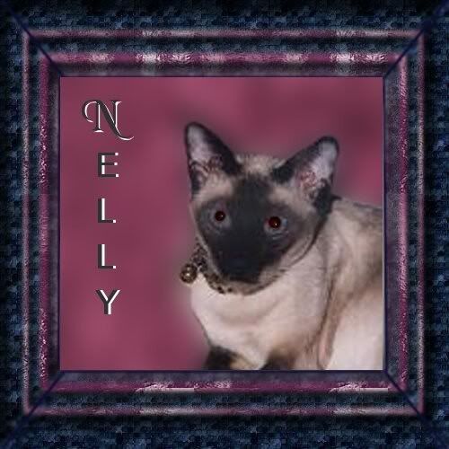 nelly1.jpg