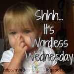 Wordless Wednesday Picture Blog Hop Linky