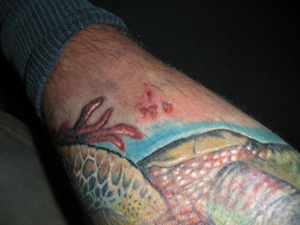 scrape's affect on ink Tattoo Forum at