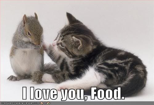 funny-pictures-cat-loves-food.jpg