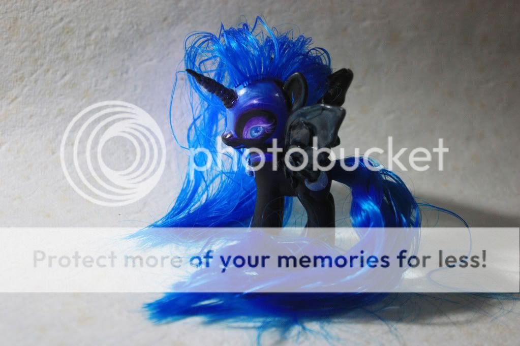 by dianita diana arcuri remember this day little ponies for it was 