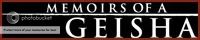 Memoirs Of A Geisha Guild banner