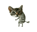 th_cat.gif