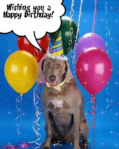 happy-birthday-dog-balloons-glitter.gif