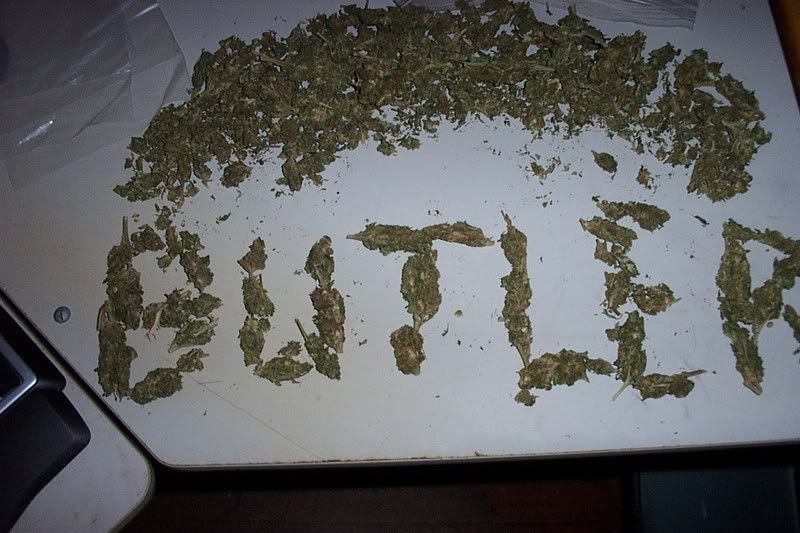 https://i21.photobucket.com/albums/b282/NASTY_BUTLER/Picture034.jpg